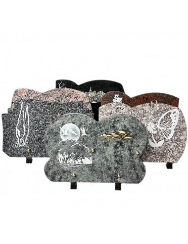 SERIE DE 6 PLAQUES 30 X 20...