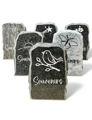 SERIE DE PLAQUES 16 X 10 -...