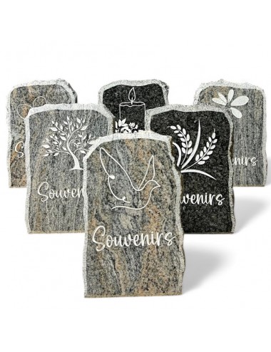 SERIE DE 6 PLAQUES 16 X 10...