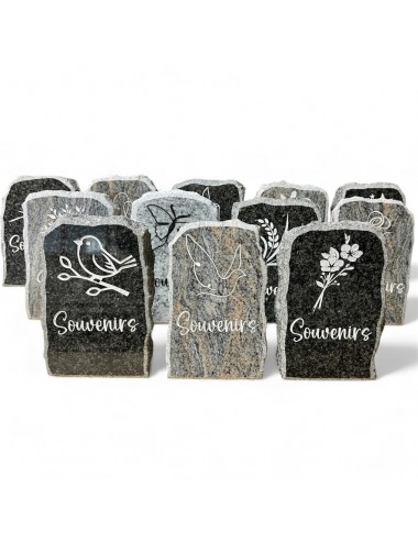 SERIE DE 12 PLAQUES 16 X 10...