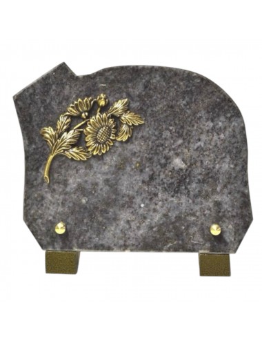 PLAQUE 20 X 15 - CHANTS POLIS - 1 INTER - PANACHAGE