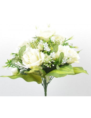 PIQUET DE ROSE X13 CREAM