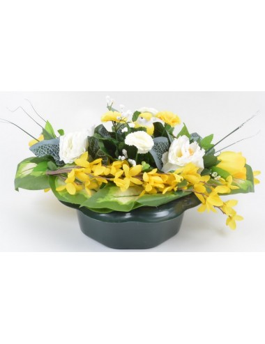 COUPE MARGUERITE FORSYTHIA...