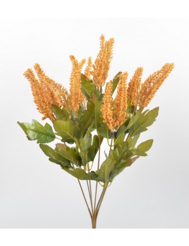 PIQUET DE BRUYERE X7 ASS