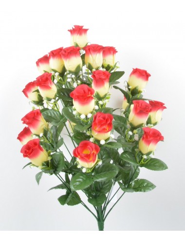 PIQUET BOUTON DE ROSE X24 BEAUTY