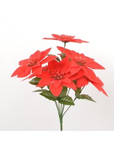 PIQUET POINCETIA PM X7...