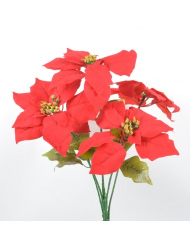 PIQUET POINCETIA PM X5 GM...