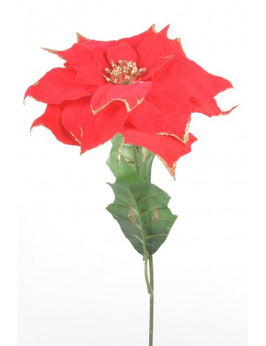 POINCETIA VELOURS BORDE OR RED