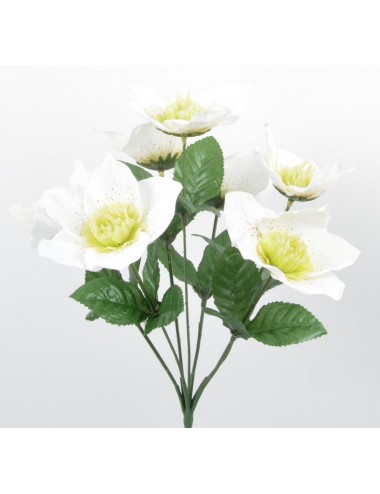 PIQUET HELLEBORE X7 MINT