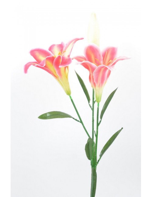 LONGIFLORUM HOT PINK