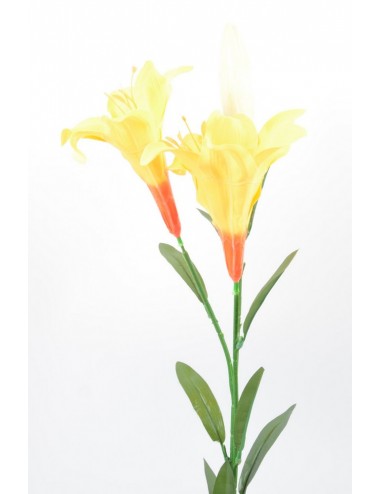 LONGIFLORUM YELLOW ORANGE