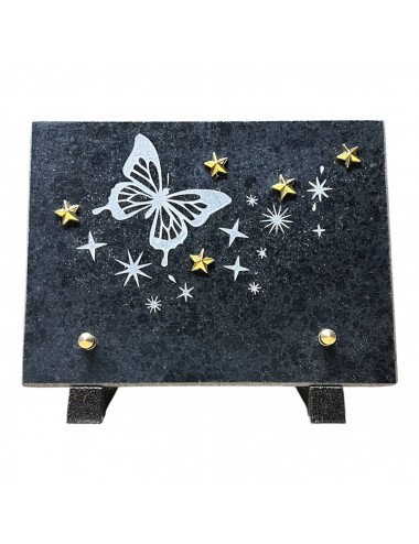 PLAQUE 20 X15 PIED METAL PAPILLON ET ETOILES DOREES - 1 INTER