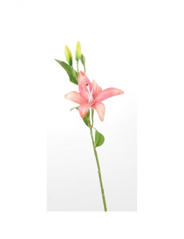 BRANCHE DE LYS ASSORTIES