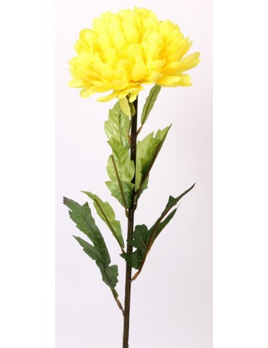 CHRYSANTHEME BOULE GM JAUNE