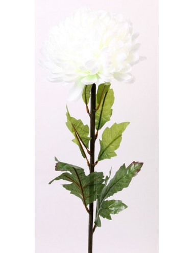 CHRYSANTHEME BOULE GM BLANC