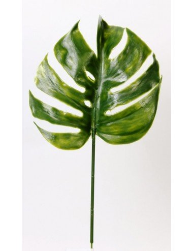 PHILODENDRON GREEN