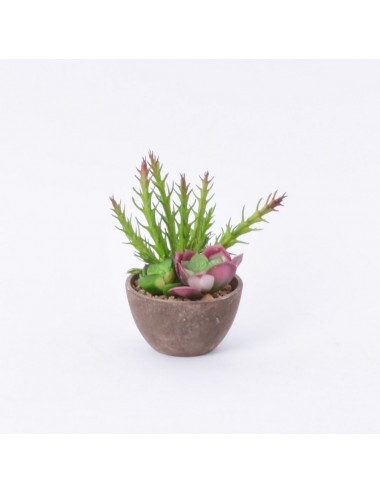 POT DE 3 CACTUS