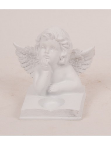 ANGE SUR LIVRE