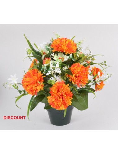 POT 14 CM CHRYSANTHEME ORCHIDEE X 24 TIGES ASS
