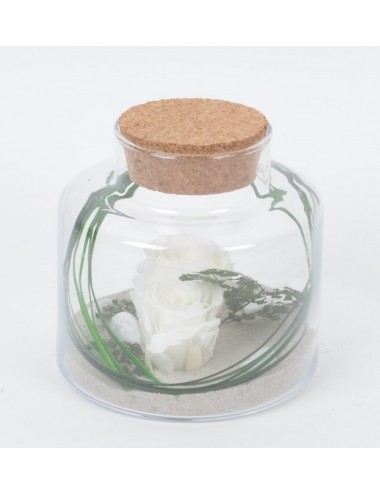 TERRARIUM PM BOUCHON LIEGE FLEURS STABILISEES CREAM