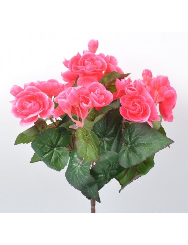 PIQUET DE BEGONIA X7 ORANGE