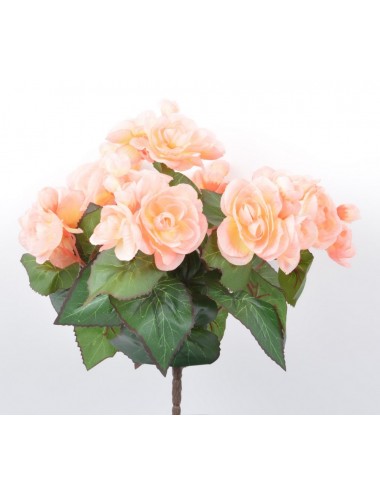 PIQUET DE BEGONIA X7 ORANGE