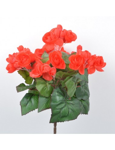 PIQUET DE BEGONIA X7 ORANGE