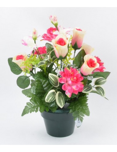 POT 12 CM ZINNIA ROSE ORCHIDEE ASS