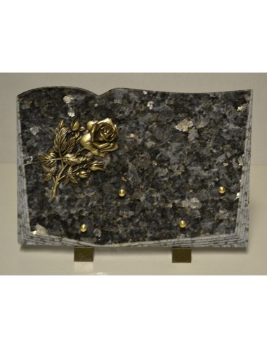 LIVRE GALBE DECENTRE 20X30 CM